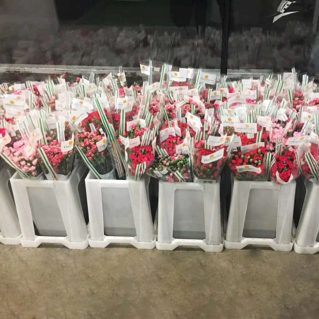 Large size plastic square danish buckets for garden center flor bucket