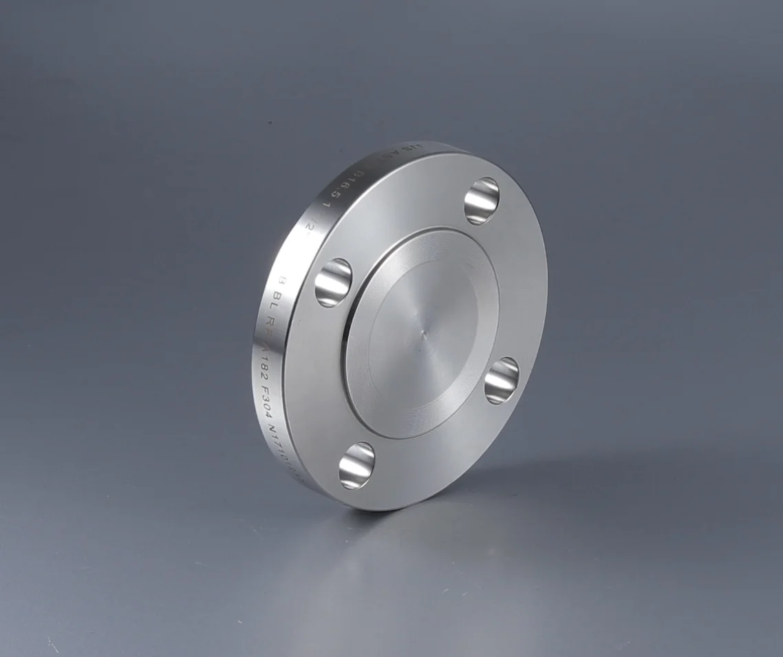304 & 316L Stainless Steel Raised Face Stainless Steel Pipe Plate Flange