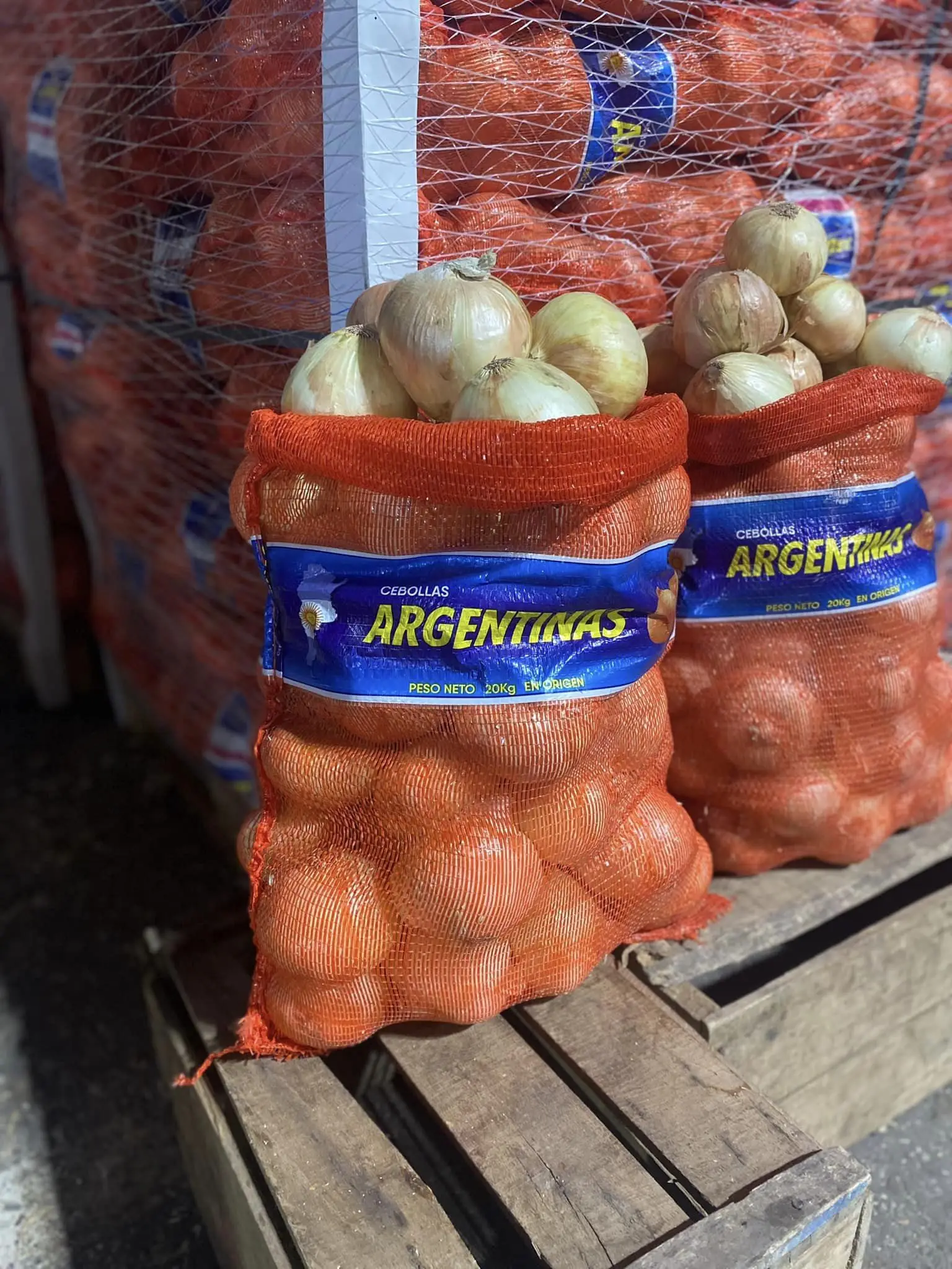 L C package best selected onion bag  leno wicket mesh bag