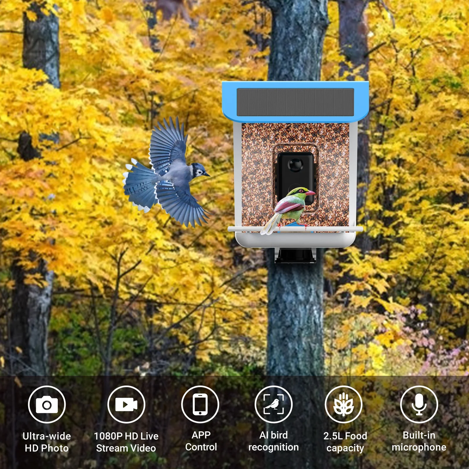 WIFI Smart Bird Feeder with Camera Free AI identification Bird Camera Control by Bird Lover APP