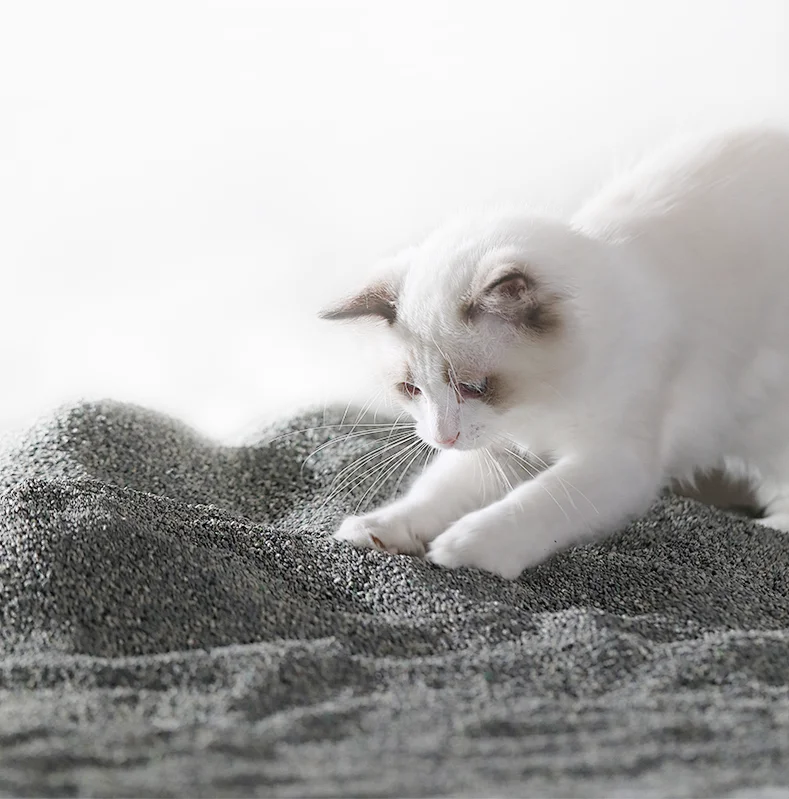 Custom Package Wholesale Bentonite Granules Cat Litter Mineral Sand Cat Litter Dust Free Tofu Cat Litter Sand Oem 10L