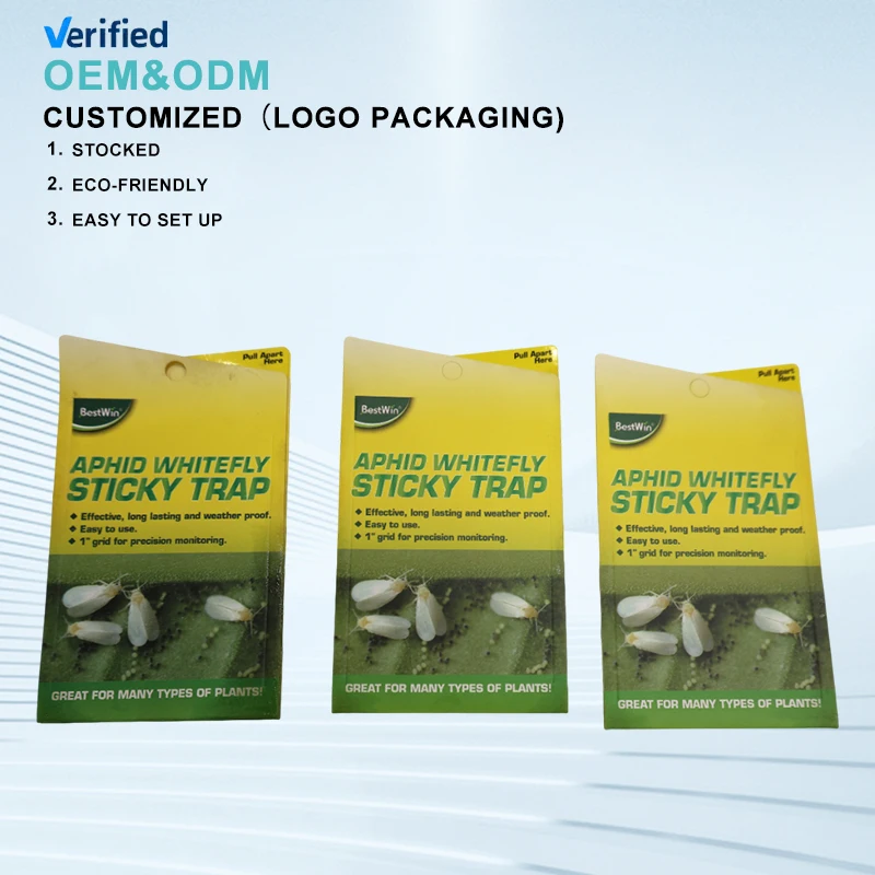 Best Selling Strong Flies Traps Bugs Sticky Board Catching Aphid Insects Killer sticky fly trap