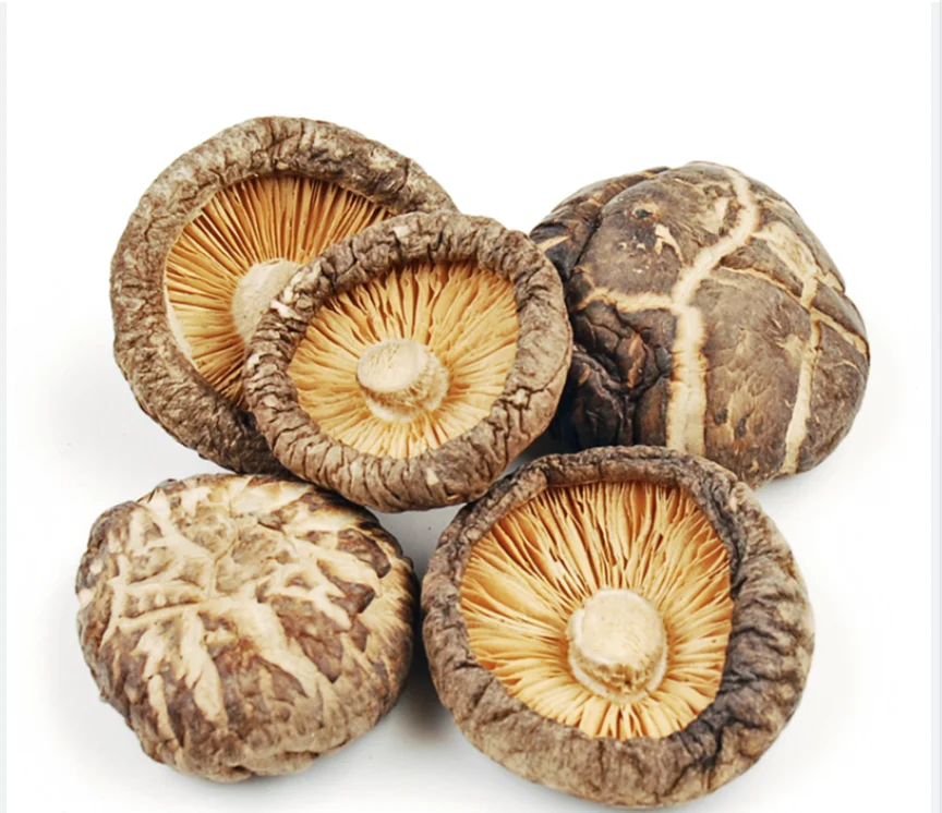 Японские сушеные грибы, целые пуговицы, консервированные грибы, белые, OEM, кислотный стиль, хранение, классные бренды, цветная упаковка, вес, сырье