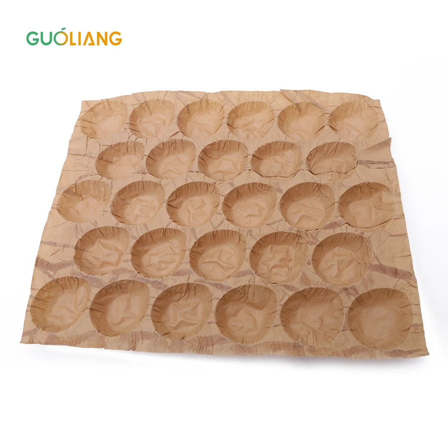 Guoliang New Made Cheap Wood Stone Plum Apple Paper Plastic Fruit Tray For Packing Apple Avocado Pear