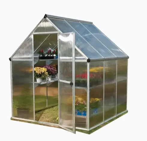 Garden Outdoor Winter Portable Mini Plant Greenhouse for Cold & Frost Protection
