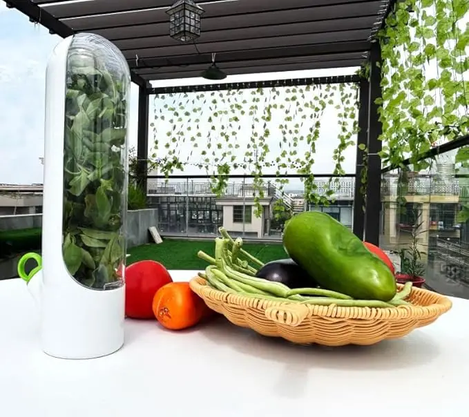 Herb Saved Pot Vanilla Vegetable Mint Asparagus Fresh-Keeping Plastic Storage Box for Home Kitchen Use