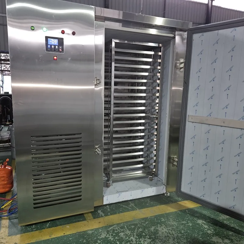 Single Temperature 200Kg/H Customized Iqf Tunnel Freezer/Industrial Iqf Blast Freezer For Fish/Shrimp/Seafood With CE