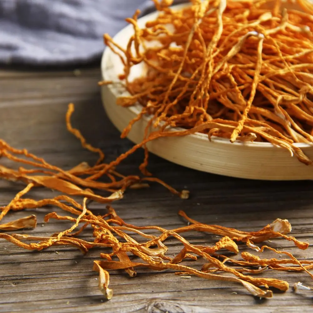 Best Price High-quality Organic Dried golden cordyceps mushroom Flower Dried Cordyceps wholesale price