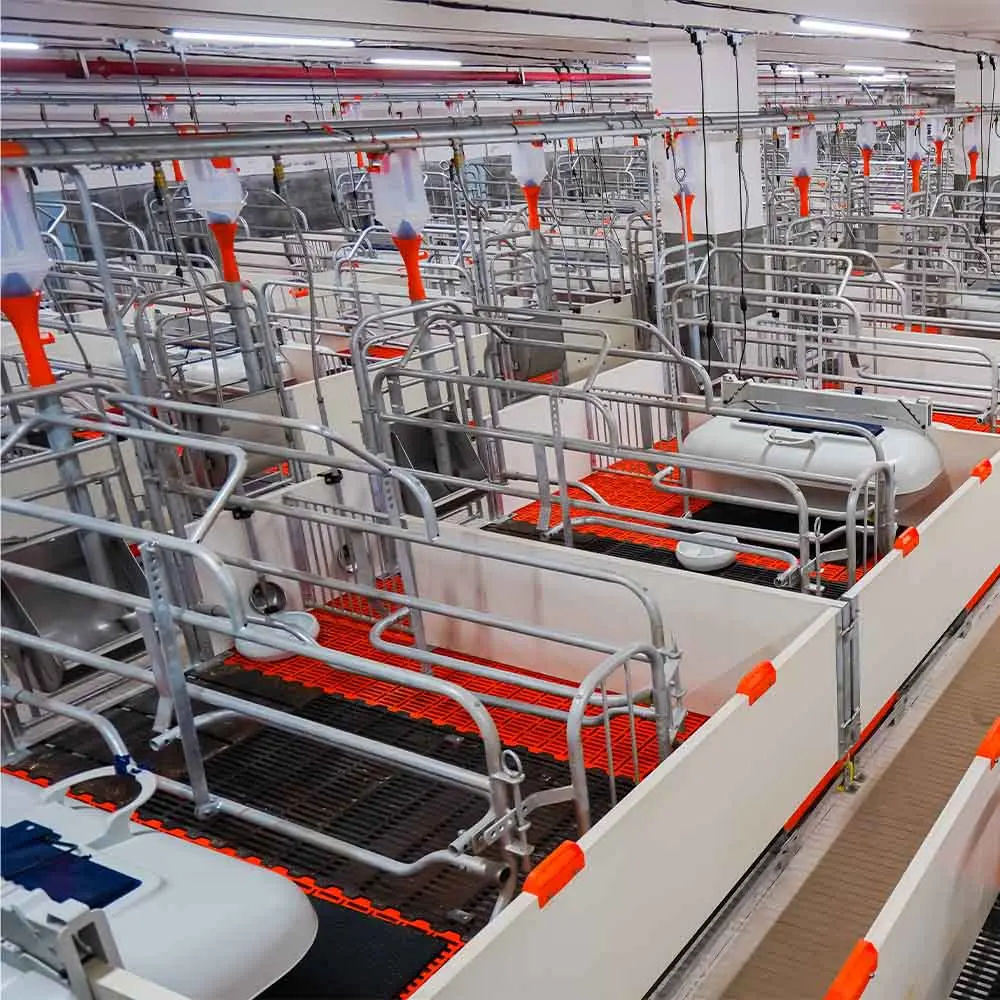 Twin-Position Integrated Pregnancy Bed Feeding Equipment For Pig Farms Sow Delivery Bed In Animal Cages