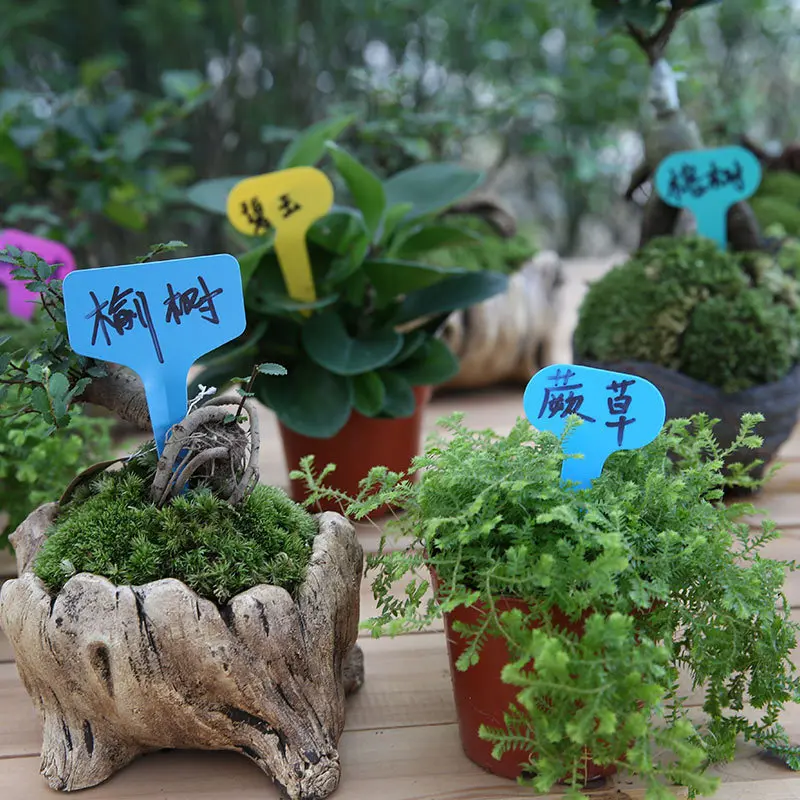 Plastic Plant Labels, Waterproof & Sun-Proof Nursery Garden Tags Re-Usable Plant Tags for Seed Potted Herbs Flowers