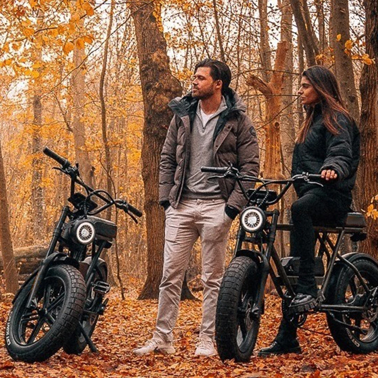 Hot Sell Price Of Electric Bicycle