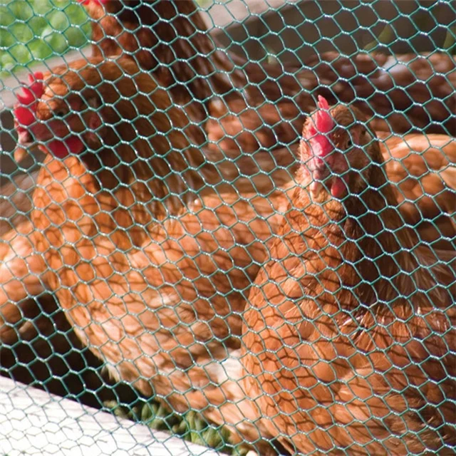 factory hot selling galvanized hexagonal wire netting chicken mesh
