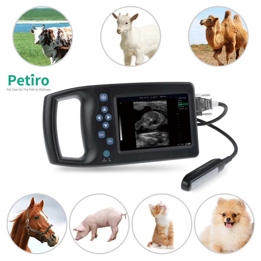 A6 Adjustable Multiple Colors Portable Veterinary Animal Veterinary Portable Ultrasound Scanner
