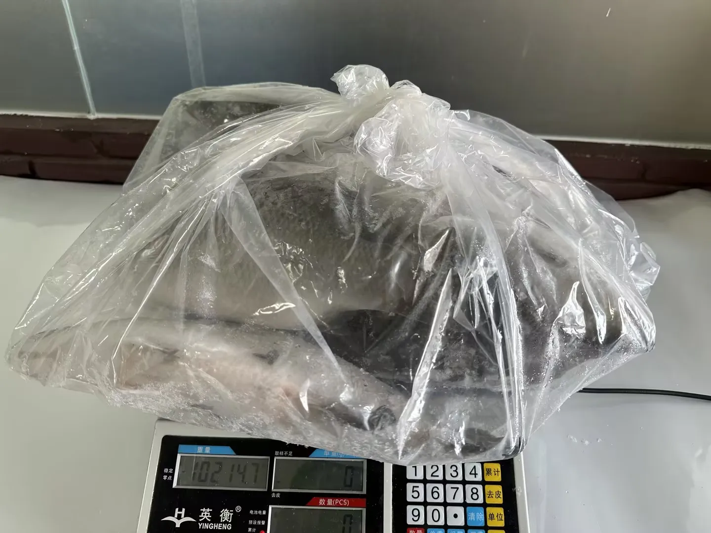 Factory basa fish Glazing 0-30% IQF basa fish Good price