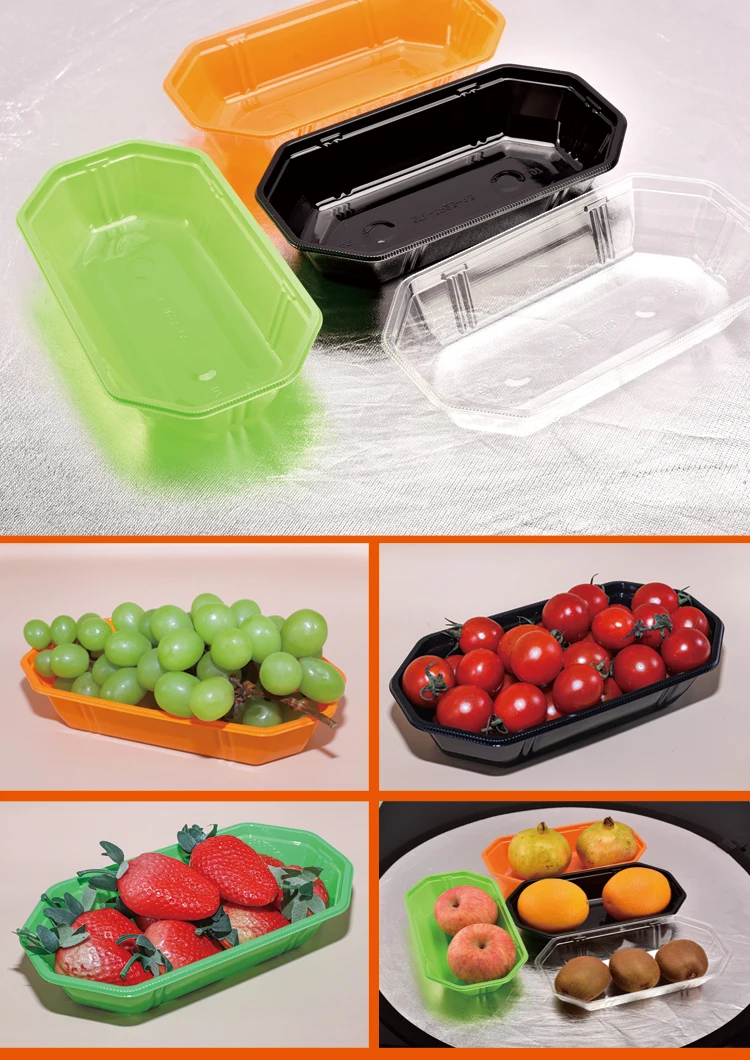 Chocolate Blister Tray