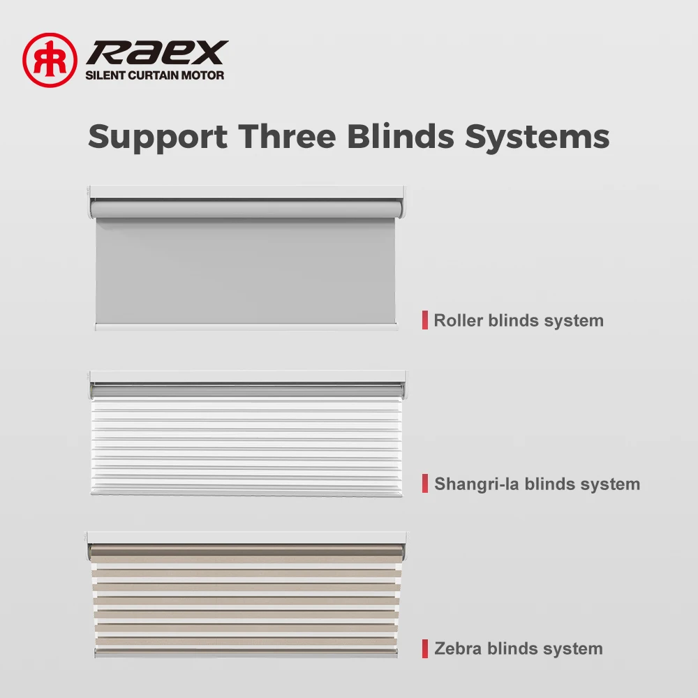 Motorized Chain Blinds Solar Tubular Tuya App 42mm Batterypowered Smart Shade Shutter Drive Battery Roller Blind Motor Wifi