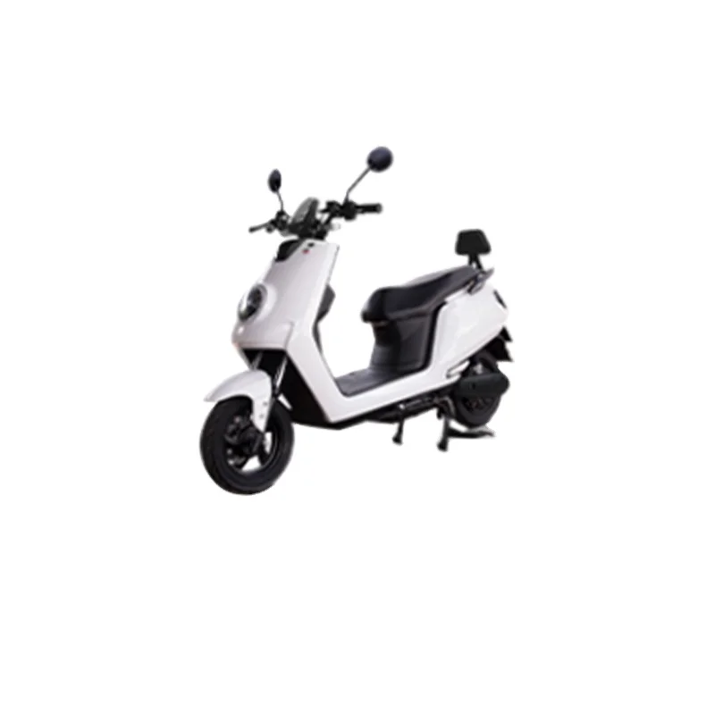 Two wheeled motorcycle for adults and 750w fat tire electric bike