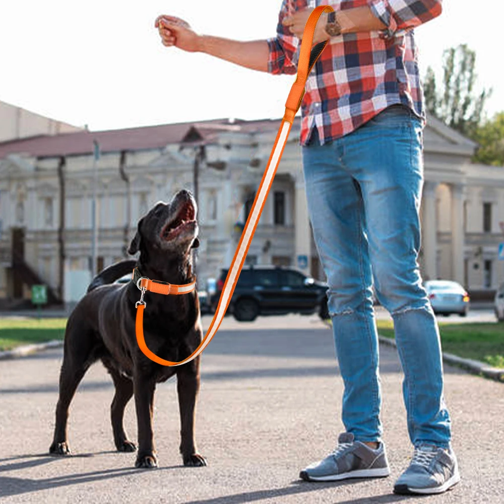 Wholesale New Product Lighting Walking Night Glowing USB Rechargeable LED Dog Leash