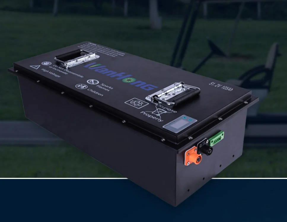 Литий-Железный Аккумулятор для электровелосипеда 48 В 60 ач 80 Ач 100 200