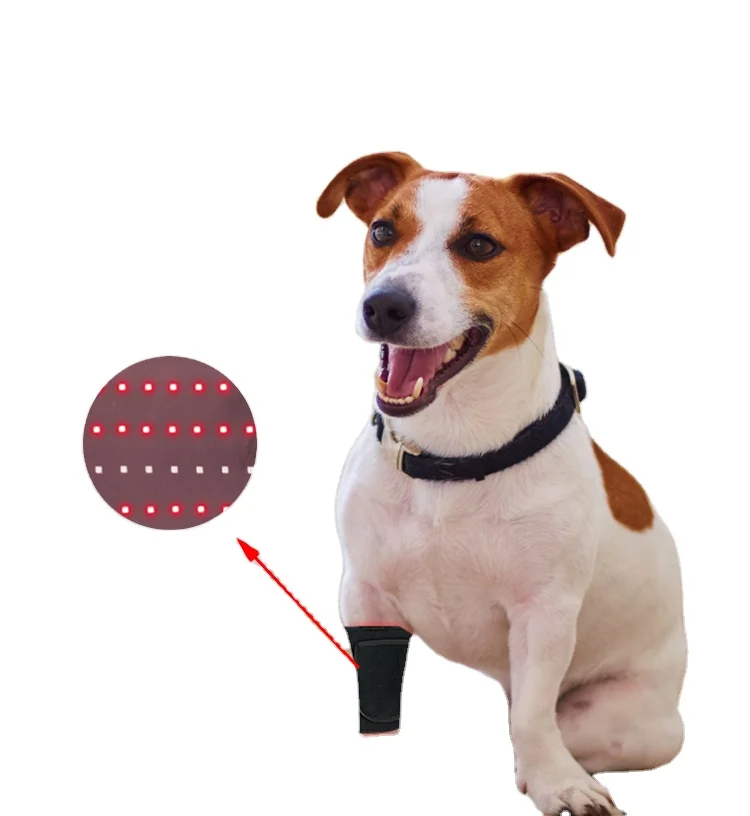 2022 Hot Selling Factory Pain Relief  No Side Effects  Led Red Light Therapy Belt Solve Animal Belt Restore Health Quickly