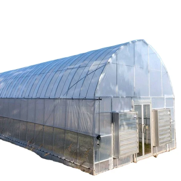 low cost agriculture plastic greenhouse tunnel for roses