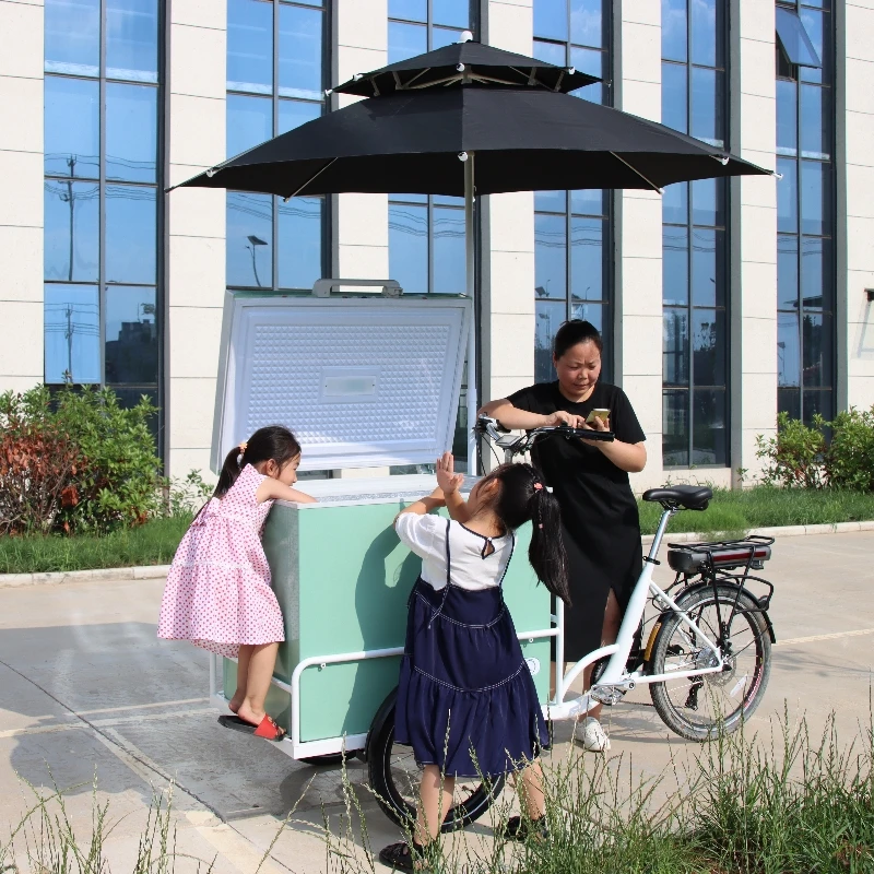 cargo tricycle electric vending cart bike cargo tricycle electric ice cream bike tricycle cooler cargo bike with freezer