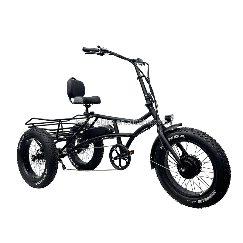 OEM Factory Custom Trike Family 48v Large Load Capacity Electric Tricycles Bike for Adults