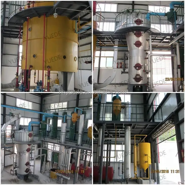 Soybean Sesame Canola Oil Production Line Vegetable Copra Oil Processing Machine Farm Avocado Olive Oil Processing Plant