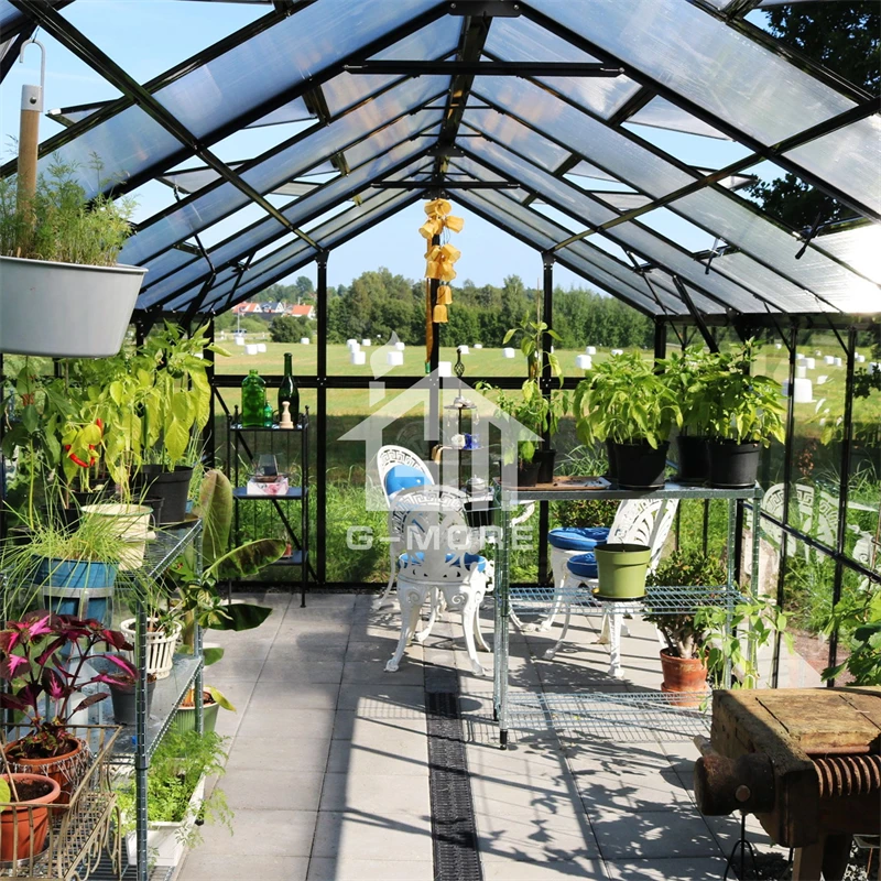G-More Elegant Classic 8 FT x 24 FT Aluminium Garden Greenhouse Glasshouse