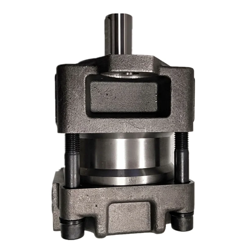 Variable Hydraulic Rotary Double Gear Pump QT62-125F-S1389-A QT21 QT22 QT23 QT31 QT32 QT33 QT41 QT42 QT43 for Sumitomo Series