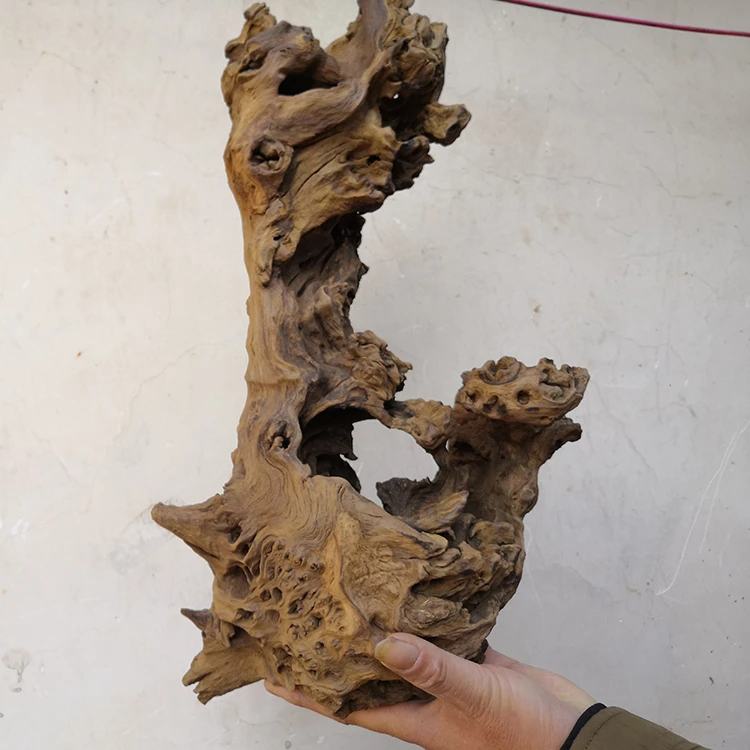 Decorative driftwood bonsai mangrove aquarium driftwood quality products