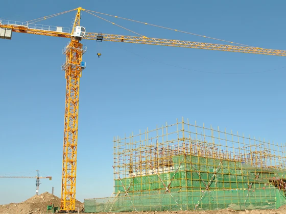 Tower Crane 8T and 10T TC6013 Topless with 6T Max Load New Gear Core Components Rated Loading Capacity