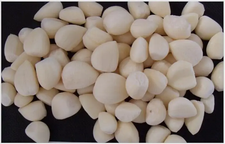 
BDF paste puree portion and whole frozen pure white garlic 