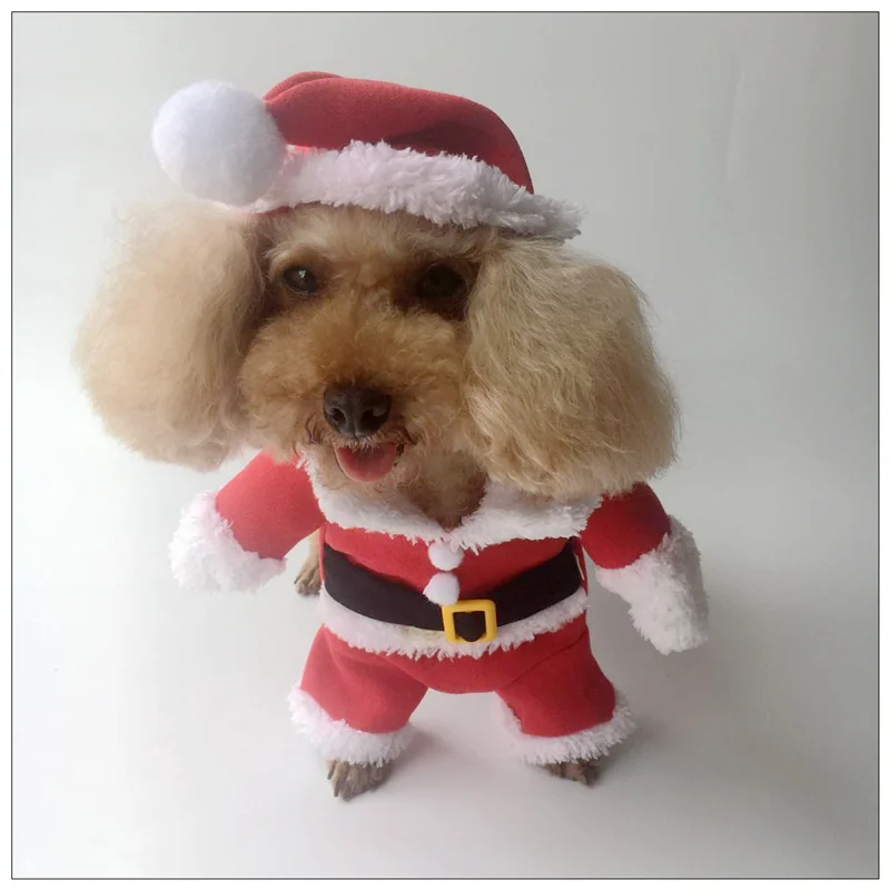 Pet Christmas Accessories Pet Clothes Wholesale Autumn and Winter Cat Clothes Cute Santa Claus Dogs Cats Costume