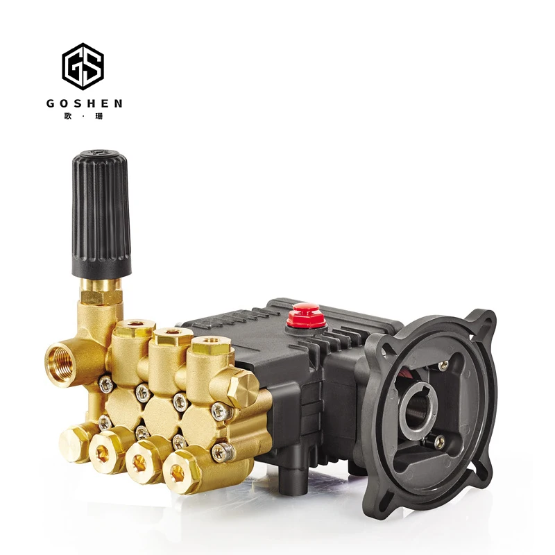 OEM 100bar плунжерный водяной насос высокого давления