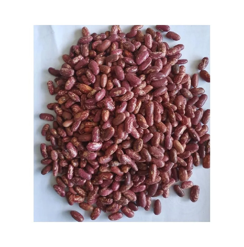 Высококачественная и популярная красная зернистая фасоль для продажи
