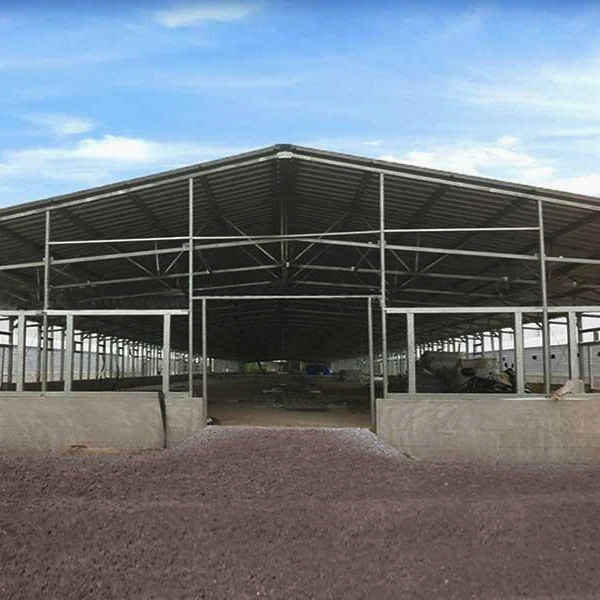 Metal steel structure Poultry farm building stockshed