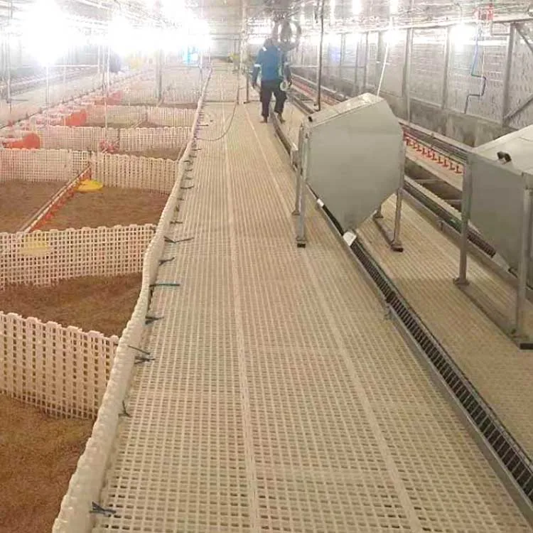 Chicken Chain Line Automatic Chain Feeder Breeder Feeding System Poultry Hens Free Range Farming Equipment