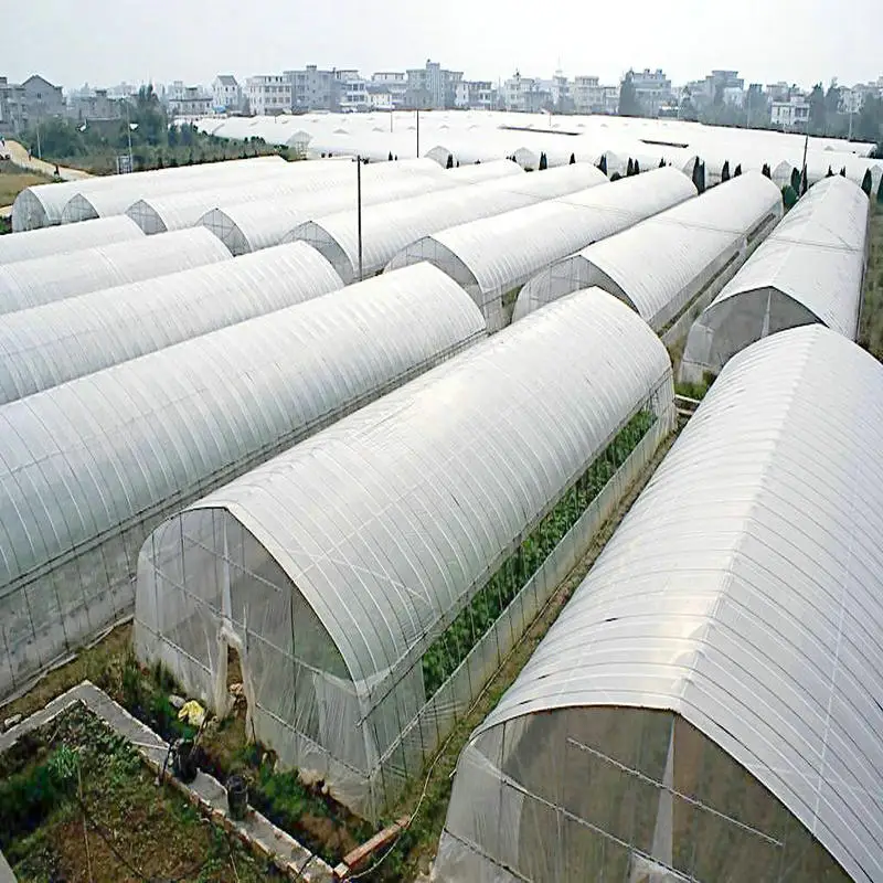 Agriculture hydroponic tunnel greenhouse steel wire cable