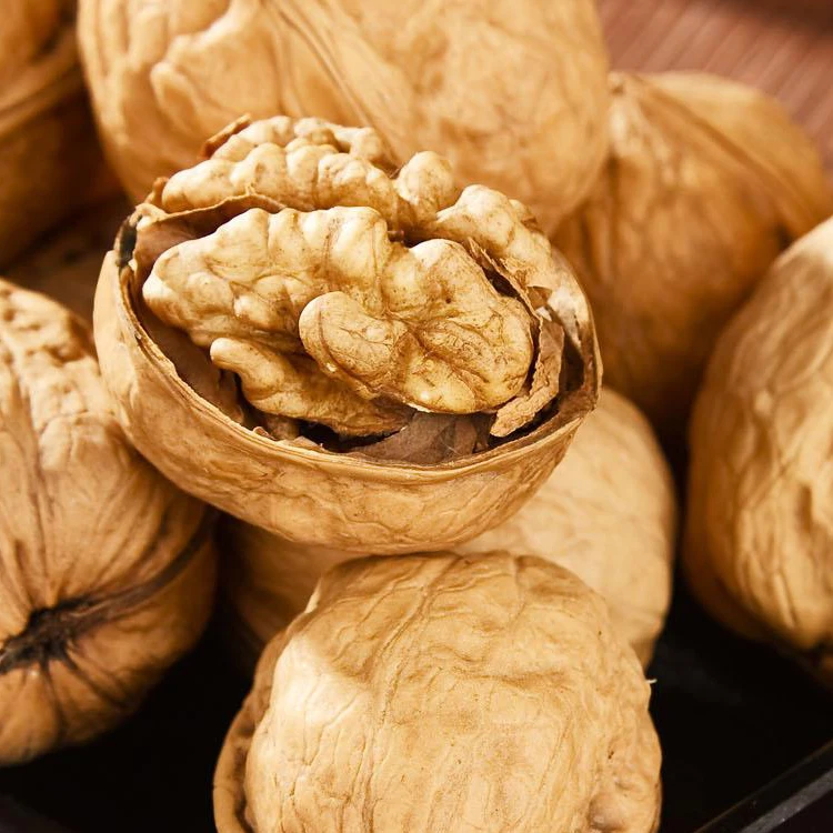 
100% Healthy Organic walnut inshell Shaanxi Shinong dried fruit Xinjiang Paper Shell Walnuts in shell 