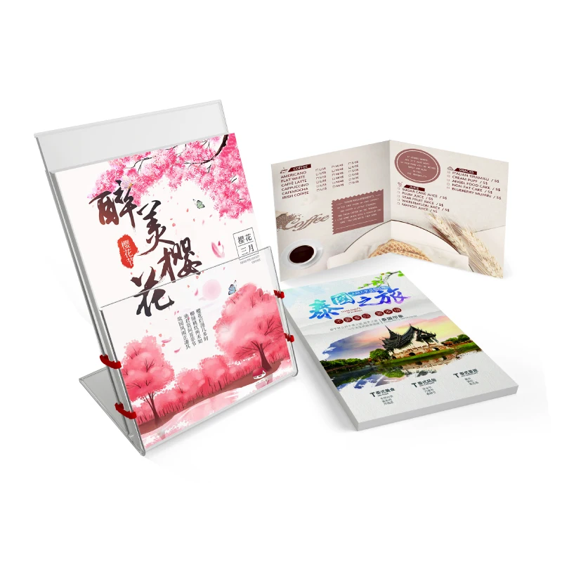 
Professional A4 A5 A6 Size Flyer Printing for Advertising custom Advertising Catalogue booklet brochure leaflet folder printing 