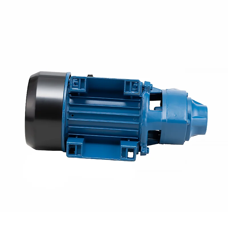 Hot Selling High Quality Low Pressure Water Pump Qb70 Electrique Pompe A Eau