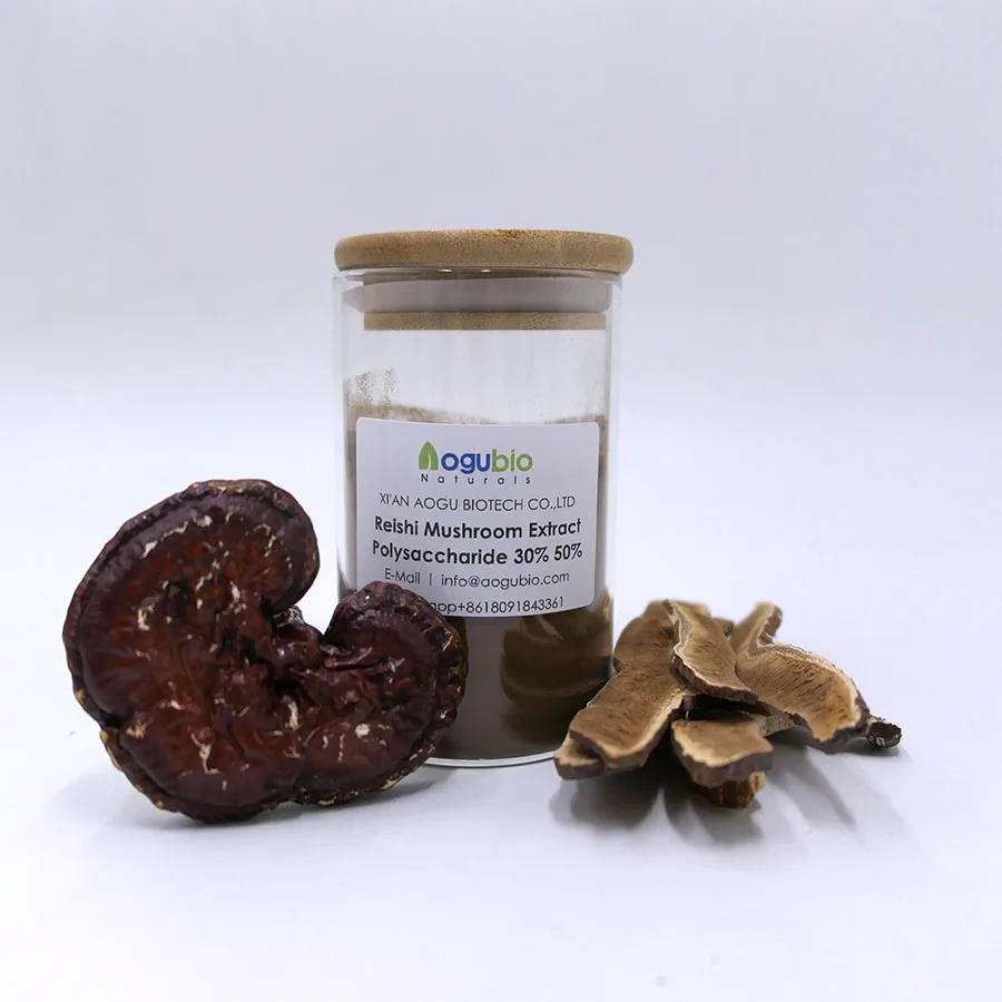 Organic red reishi mushroom powder reishi mushroom extract