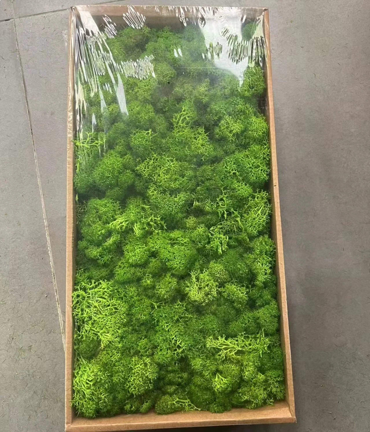 Wholesale natural Preserved reindeer Moss Produced  dry bun Moss Decorating Walls