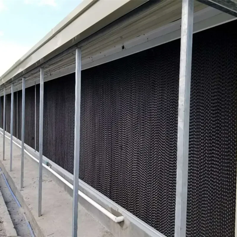 Affordable Prefabricated Poultry Farm Shed for Pakistan