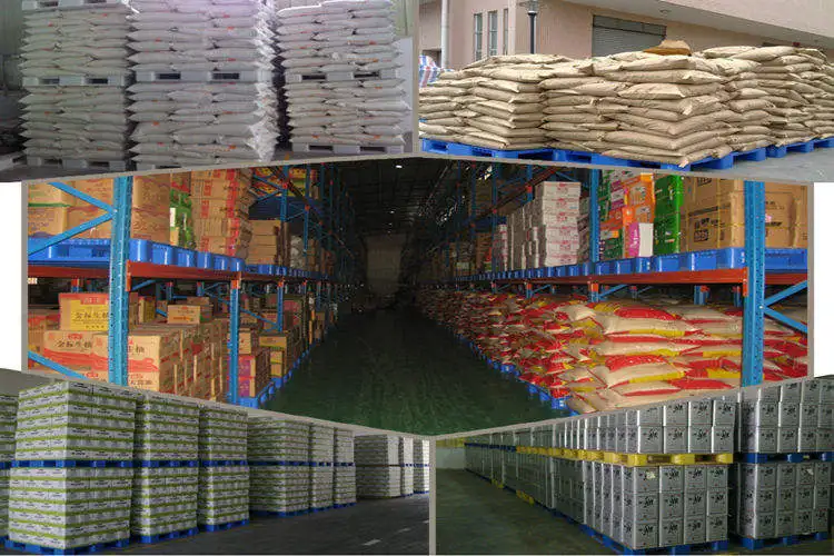 High-Quality Blow Moulded Plastic Pallet Robust, Lightweight, and Stackable for Efficient Storage and Handling