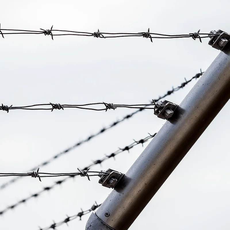 Factory High Quality Anti-Rust Hot Dipped Galvanized Barbed Wire Coil