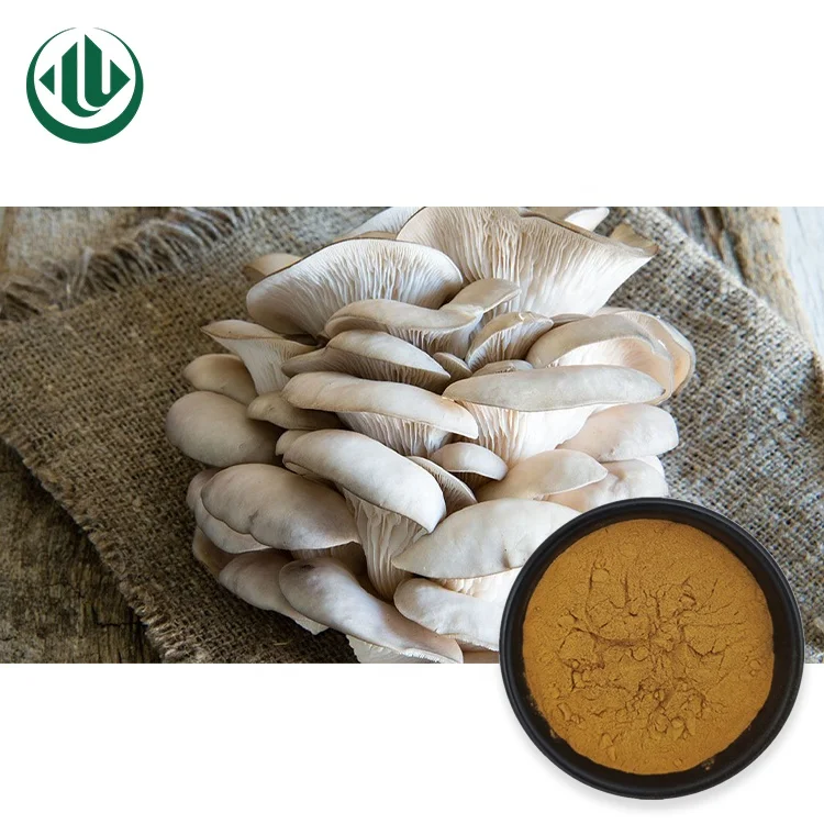 Healthy Organic Oyster Mushroom Extract Powder Instant Oyster Mushroom Soup Extract Powder