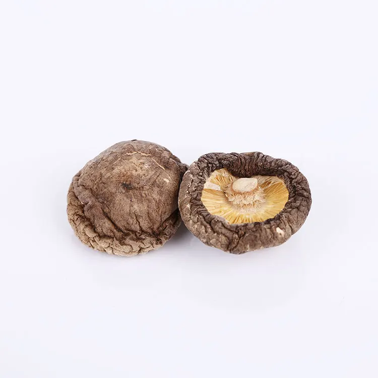 High Quality Shiitake Dried Shiitake Mushroom Dried Shiitake Mushroom Good Price Wholesales