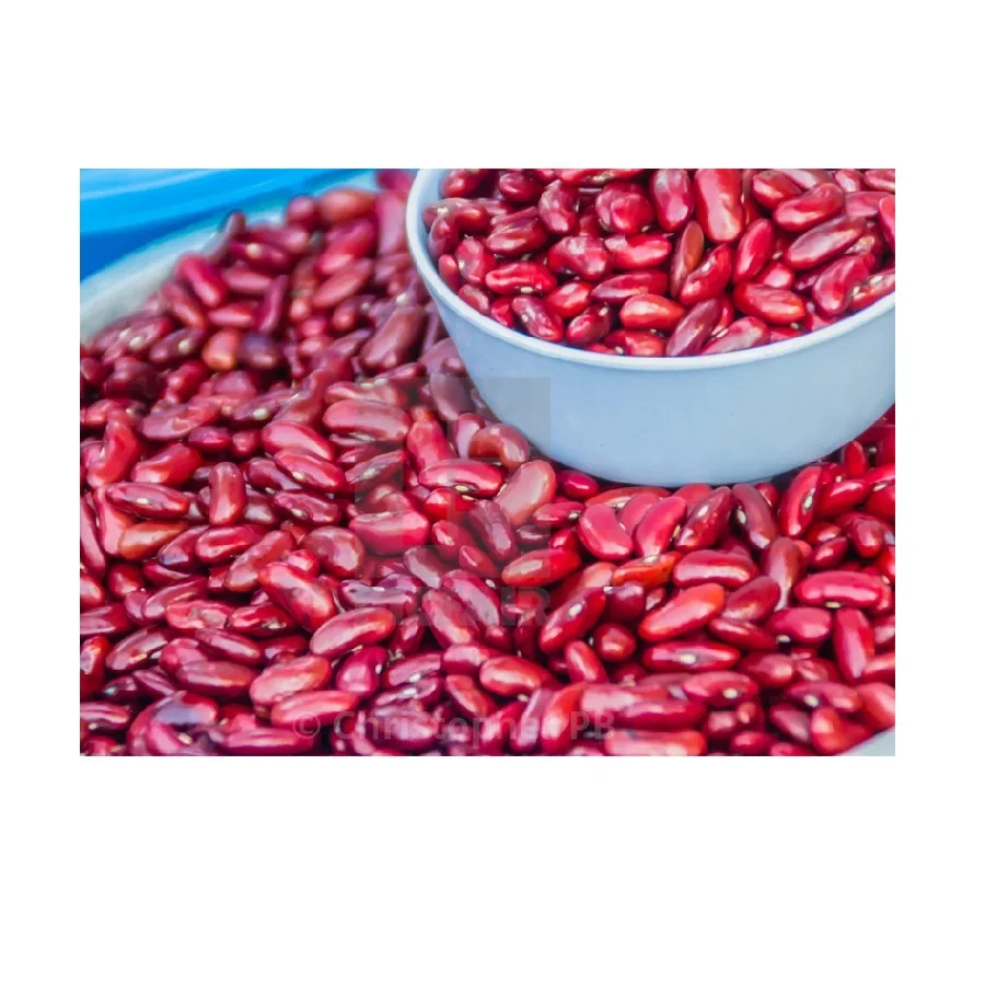 Non-GMO High Grade Natural Bulk Dried Red Beans from Uzbekistan Dry Tomato Red Kidney Beans for Food